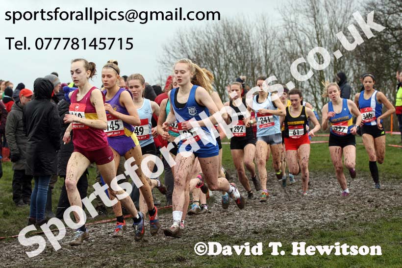 Senior girls 2019 New Balance English Schools Cross Country Champs, Temple Newsam, Leeds. Photo:  David T. Hewitson/Sports for All Pics